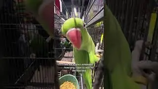 It’s a long wait 🥲 but so worth it 