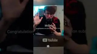 My Reflection in MrBeast's 100 Million Play Button 