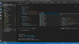 Vue Js  - Environment Variables