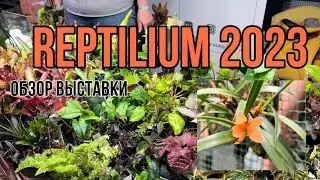 Обзор выставки Reptilium 2023 || Что сможет найти для себя Орхоман?|| Выставка экзотических животных