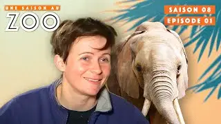 Sabrina entraine les Éléphants Boubou et Boten! | S08EP01 | Émission Intégrale | Une Saison Au Zoo