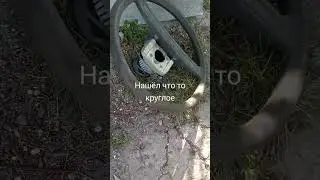 #музыка #гномы #боже #тренд #существа #рыцари #юмор #мем #memes