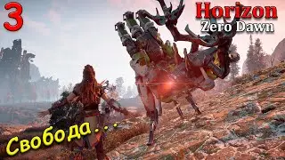 Прохождение Horizon Zero Dawn Complete Edition - часть 3