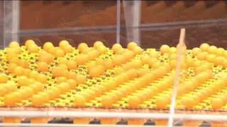 900 Mousetraps Unleashed with Science Bob on Jimmy Kimmel Live