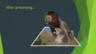 How to make 3d Pop-out photos in PowerPoint