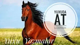 YUXUDA AT GÖRMƏK NE DEMƏKDİR  ( YUXU YOZMA )