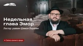 Недельная глава «Эмор». Раввин Шимон Варакин