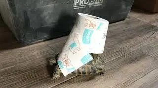 Как облегчить нашу