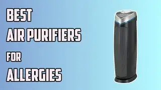 Which Air Purifiers Work Best for Allergies in 2023