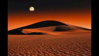 Sounds from the Oasis - Lofi Soundscapes for Studying and Coding