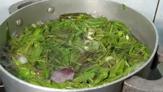 Sarawakian Recipe: Simple Way To Cook Midin