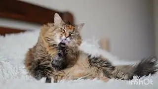 🤣😘
