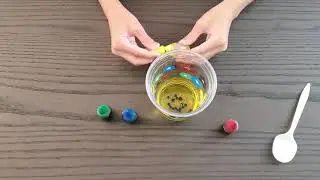 Amazing water, oil and food coloring experiment