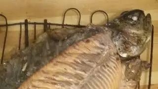 Карельская форель на углях