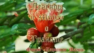 Легенды и Мифы о Гранате