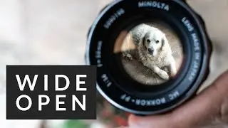 Why I shoot all my photography wide open
