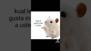 el globero xd
