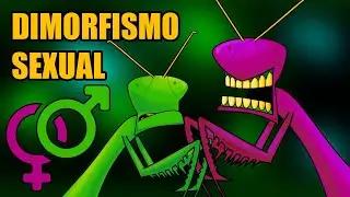 Dimorfismo sexual