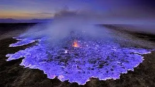 Top 10 Wierdest Things On Earth Can Make You Amazed.