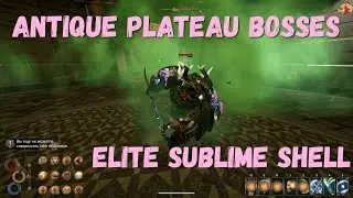 Outward босс Элитная возвышенная оболочка  | Elite Sublime Shell