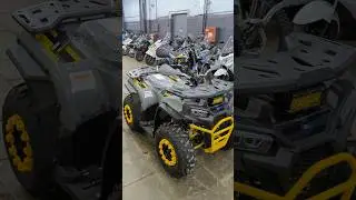 Взрослый из детских RM Tunder 150#kupiscooter #atv#regulmoto #квадроцикл