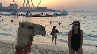 Dubai'ye Bugra'yi almadılar ! Ulker'ler le tatil :)