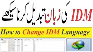 How to Change IDM Language Urdu/Hindi ?