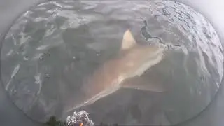 A DAY FISHING HOUHORA