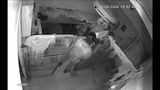 Квест 