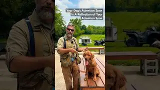 Your Dog’s Attention Span Is A Reflection Of Your Attention Span! #shorts