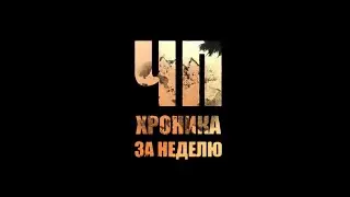 Мак в бане, стирка с огоньком и нехорошая песня в "ЧП. Хроника за неделю" от 31.08.2024
