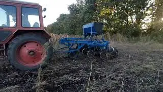 Не хочеш працювати переходь на Ноу-Тілл. Сіємо Оз. Пшеницю Юлія.