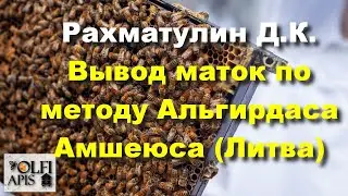 #Рахматулин