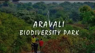 Hidden Place in Delhi 'Aravali Biodiversity Park' #aravali #morningwalk #trek #aevin #tas