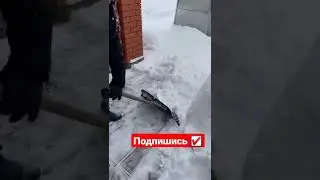 Пушистый 