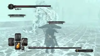 DARK SOULS II: SOTFS - Aava, Mascota del Rey - NG+