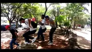 harlem shake