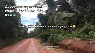 BR-319 🛣 A RODOVIA FANTASMA / ДОРОГА-ПРИЗРАК 👻 🇧🇷 Заметки об Одном из Путешествий по Бразилии
