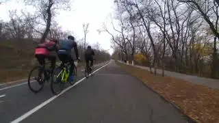 Останній день листопада...