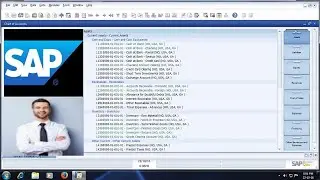 Accounts Receivable Module in SAP B-1 II Sales Reports ll