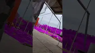 22 июля 2024 г.
