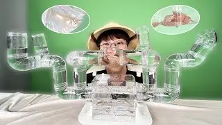 미로수조 만들기 도전!
