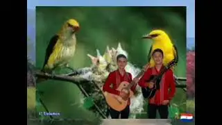 UMI GUYRA'IMIMI