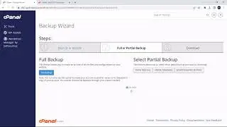Database Defense: MySQL Backup and Restoration with cPanel's Backup Wizard