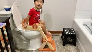 Best Toddler Potty Training Toilet Seat!
