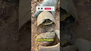 He finds something unique