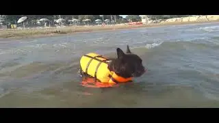 Rocky Al mare Caorle 2022