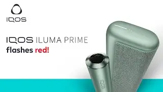 What do red flashing lights on my IQOS ILUMA Prime mean? | IQOS UK