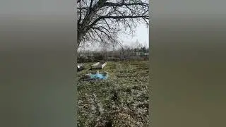 апрель 2024