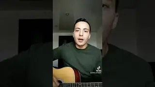 hammali navai - птичка (Жандосов Тимур cover)